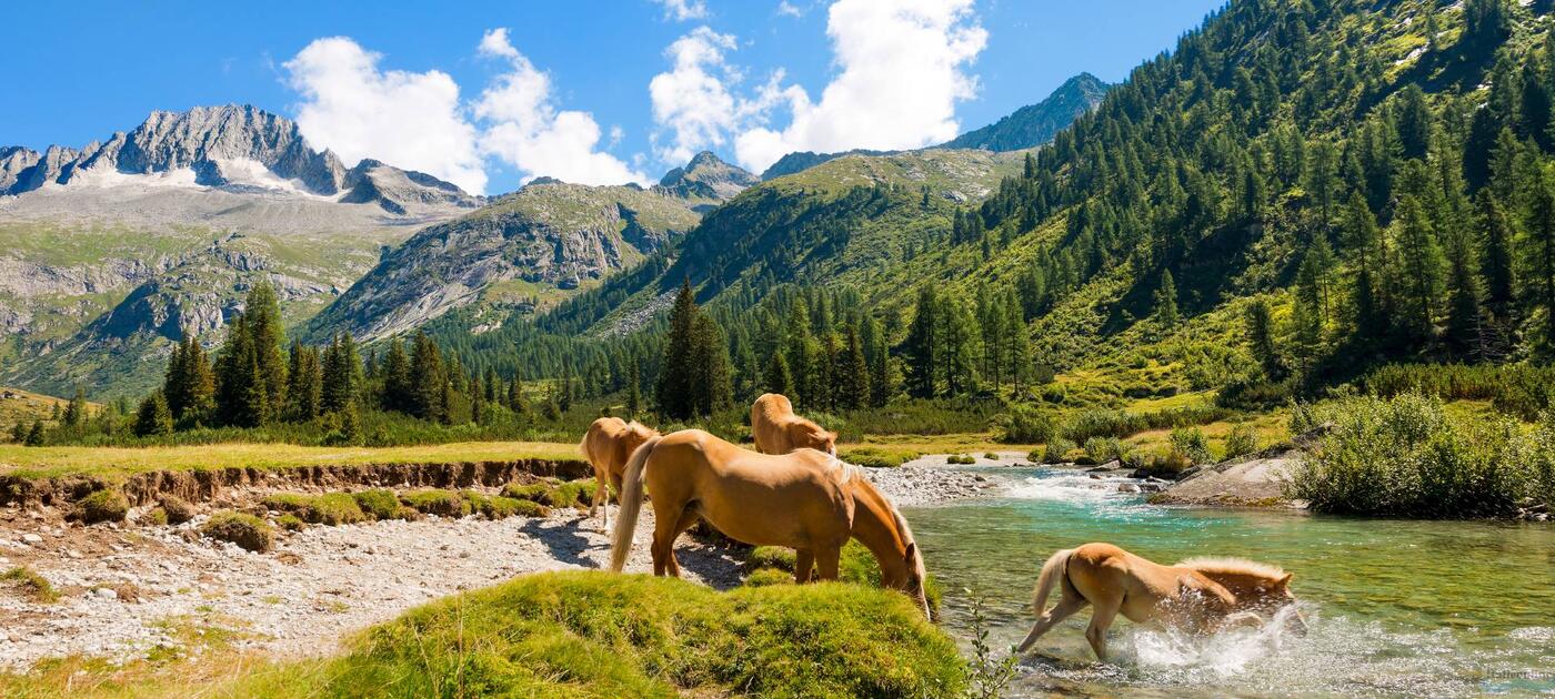 Arabba - Marmolada