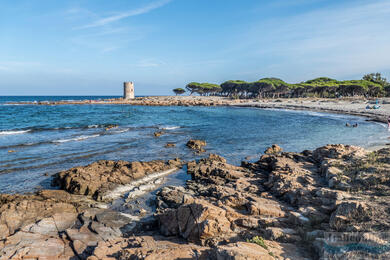 Marina di Bibbona