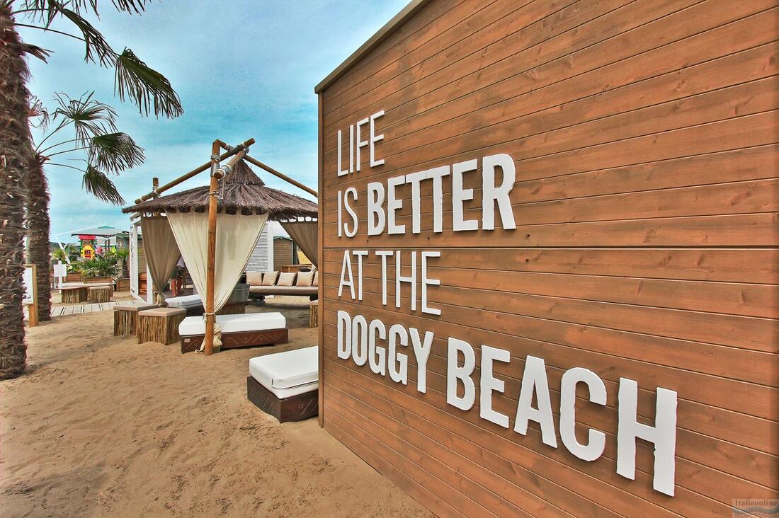 Doggy Beach