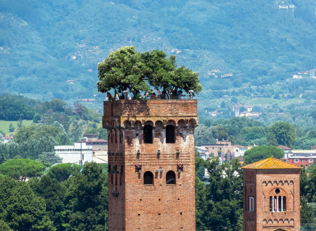 Lucca