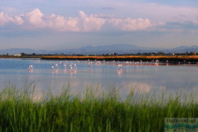 Cervia: sól, słońce i tradycja