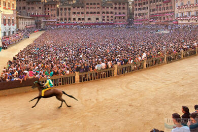 Wyścigi konne Palio di Siena