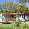 Camping Village Pino Mare MH Gold (trilo)