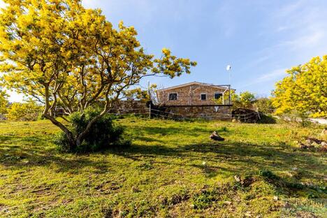 Agriturismo Le Mimose