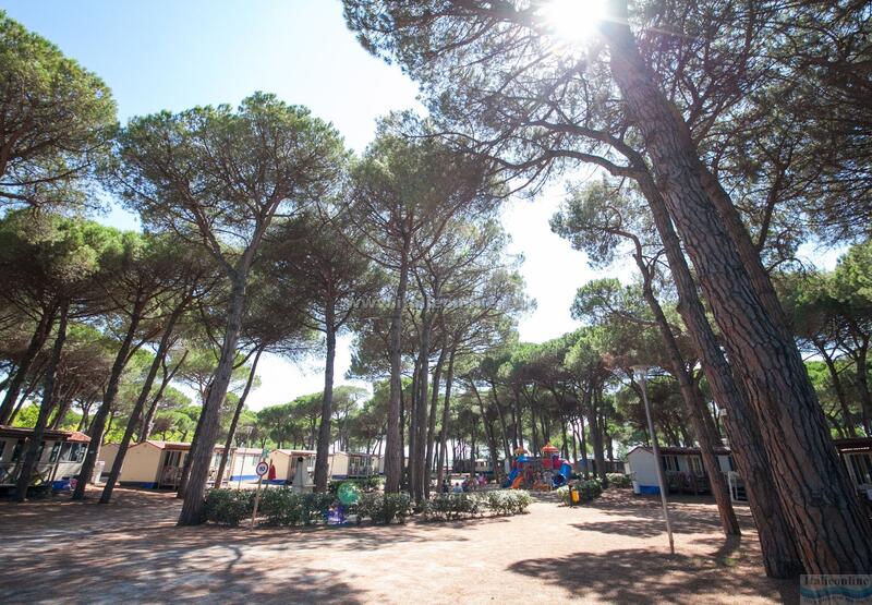 Camping Village Pineta sul Mare