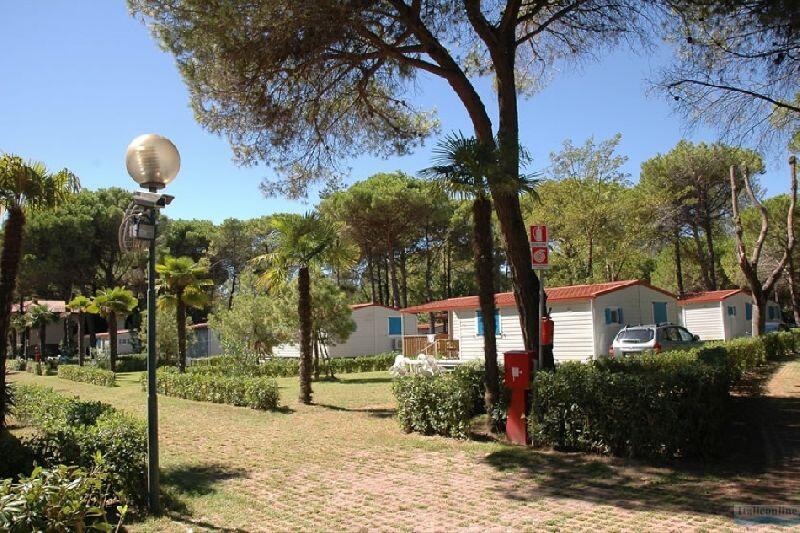 Camping Village Pino Mare